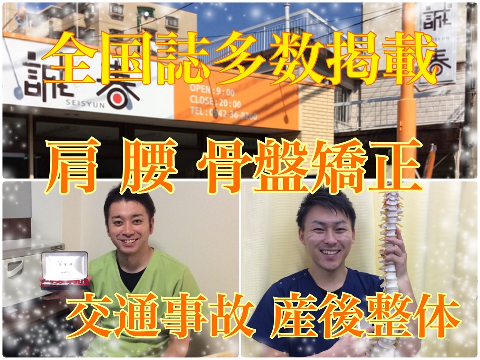 鍼灸整骨院誠春